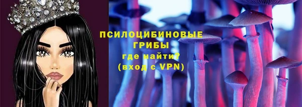 молекула духа Гусев