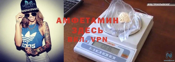 молекула духа Гусев