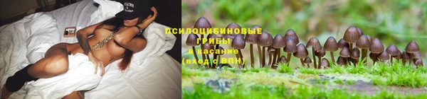молекула духа Гусев