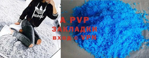 молекула духа Гусев