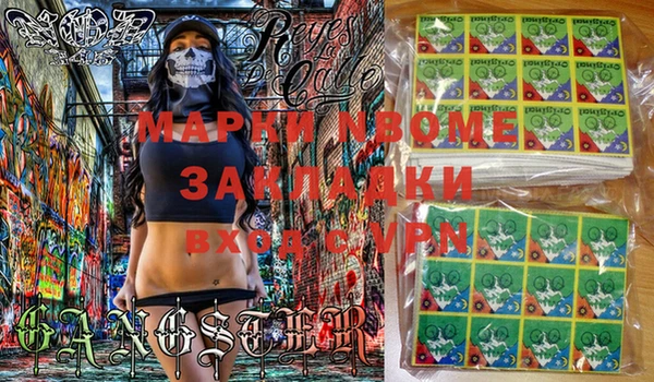 PSILOCYBIN Гусь-Хрустальный
