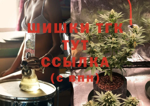 молекула духа Гусев