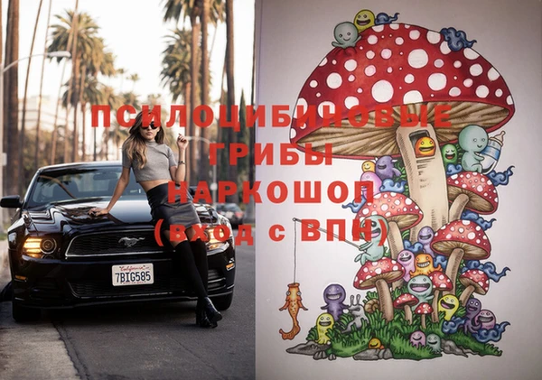 молекула духа Гусев
