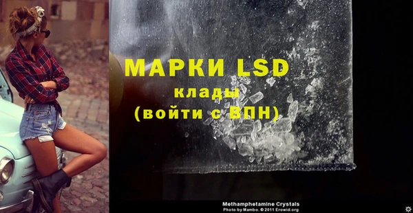 PSILOCYBIN Гусь-Хрустальный