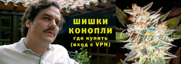 молекула духа Гусев