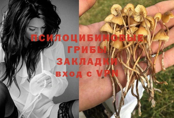 крисы Горняк