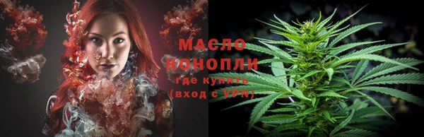 молекула духа Гусев